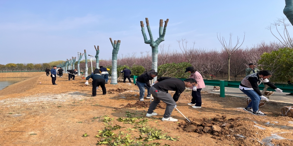 黨建引領共植綠 凝心聚力譜新篇 ——和合生態(tài)、德嘉置業(yè)黨支部赴小廟基地義務植樹